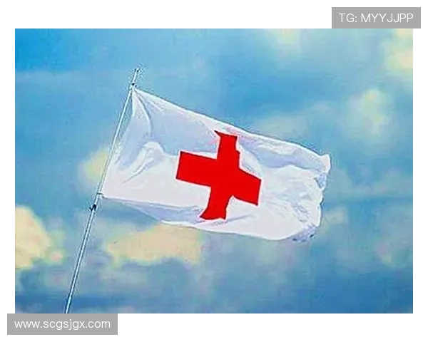 瑞士球迷红十字