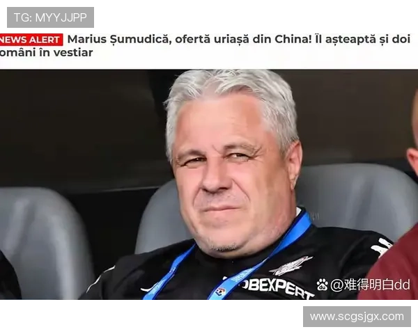 罗马尼亚球迷黄蓝热情