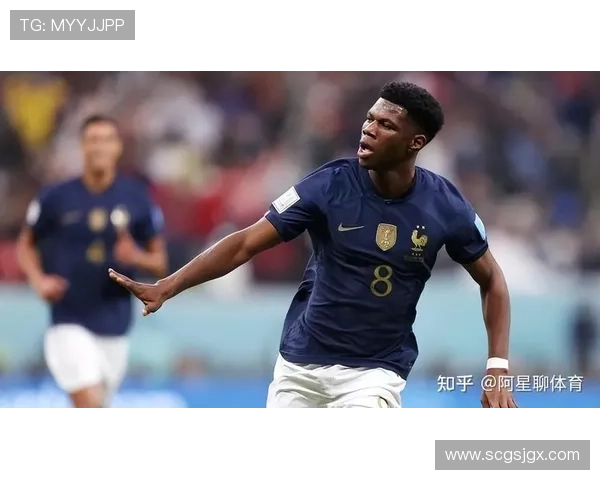 卡马文加与楚阿梅尼:后腰角色差异与谁更适配法国队体系